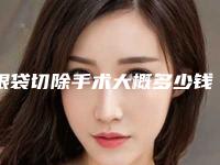 眼袋切除手术大概多少钱（切除眼袋手术要多少钱）