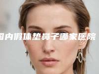 国内假体垫鼻子哪家医院好：假体垫鼻子医院top50强哪个口碑比较好