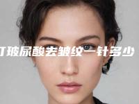 打玻尿酸去皱纹一针多少钱_玻尿酸去皱多少钱一针