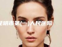 昆明市第(一)人民医院整形外科阙再新整形医生收费明细完整一览