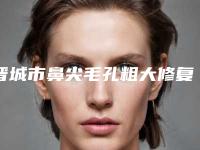 晋城市鼻尖毛孔粗大修复医院排名前十佳实力机构评选-晋城市鼻尖毛孔粗大修复整形医院
