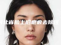 河北省脸上旧疤痕去除医生排名榜前十佳整理推荐（李秀芳医生领先榜一）