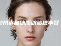 湖州市自体脂肪移植丰臀术医院在榜名单前十最强榜单（湖州曙光医疗美容机构年度黑马机构出炉）