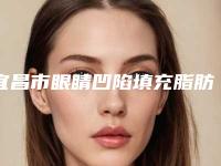 宜昌市眼睛凹陷填充脂肪整形医院-宜昌市第一人民医院技术点评
