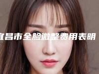 宜昌市全脸微整费用表明细2025展示-宜昌市全脸微整要准备多少钱