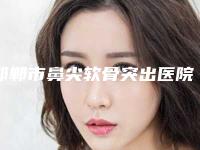 邯郸市鼻尖软骨突出医院排行榜前十佳哪里实力强-邯郸市丛台区韩雅医疗美容诊所网友赞不绝口