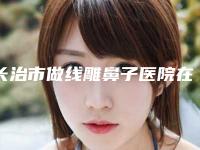 长治市做线雕鼻子医院在榜名单实力榜前五-前十名单揭晓-长治市做线雕鼻子整形医院