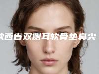 陕西省双侧耳软骨垫鼻尖医院排名榜前十位名单精选如下-陕西省双侧耳软骨垫鼻尖整形医院