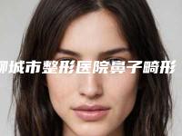 聊城市整形医院鼻子畸形整形医院(聊城人民医院整形美容科带来不一样的选择和体验)