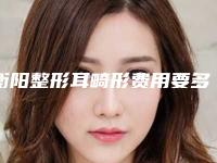衡阳整形耳畸形费用要多少「衡阳整形耳畸形手术的报价」