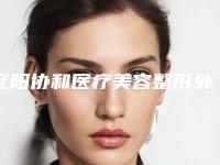 辽阳协和医疗美容整形外科诊所价格表(费用)_含手术附杯状耳手术费案例