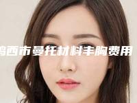 鸡西市曼托材料丰胸费用表明细2025均价展示-鸡西市曼托材料丰胸大约得需多少钱