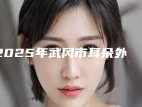2025年武冈市耳朵外部修整技术哪几个医院-武冈市耳朵外部修整技术正规医院哪家做得好